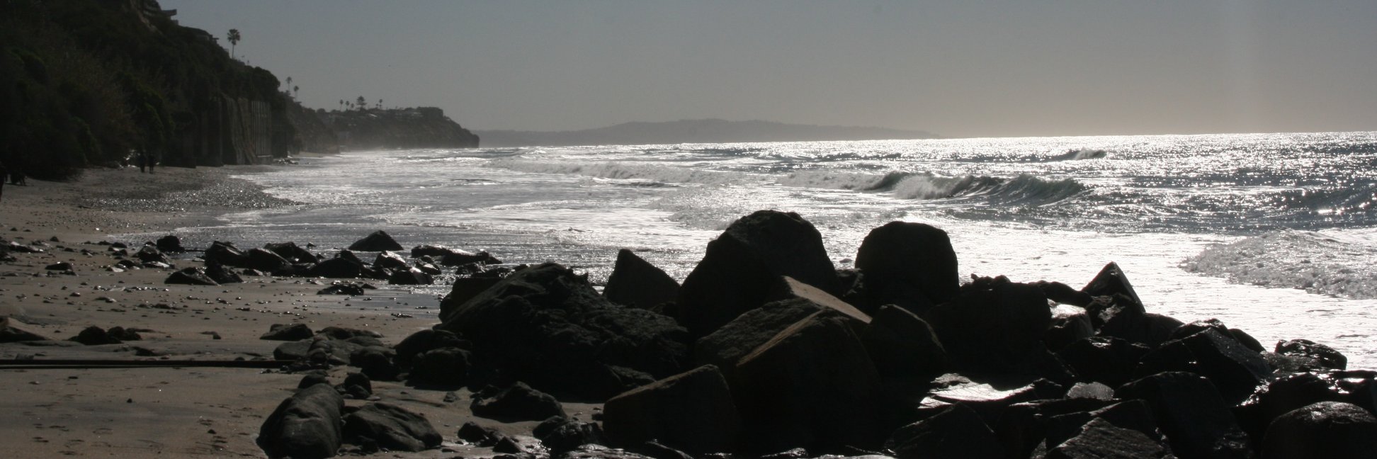 LindaScherman's profile banner image