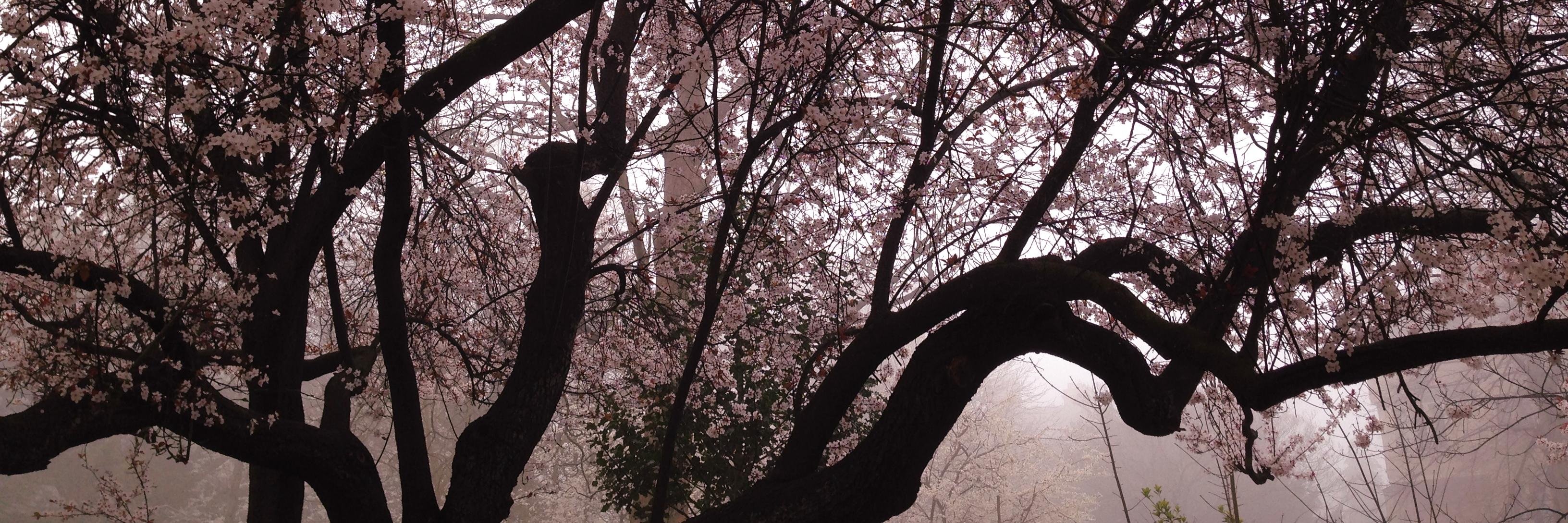 lou_cowan's profile banner image