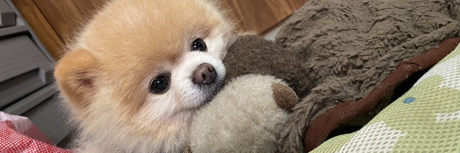 ちゃんさき♛︎ banner