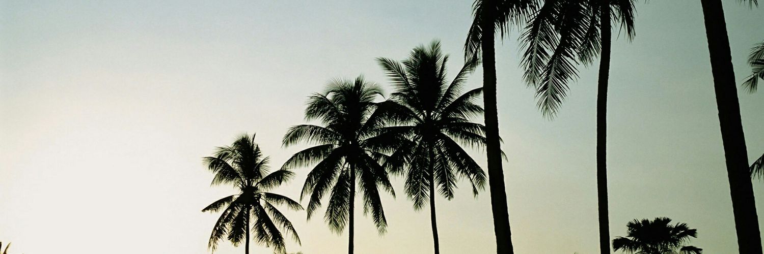 FlavFlave's profile banner image