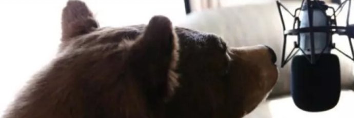 Filthy_Sweep's profile banner image