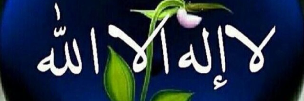 alrasheedi902's profile banner image