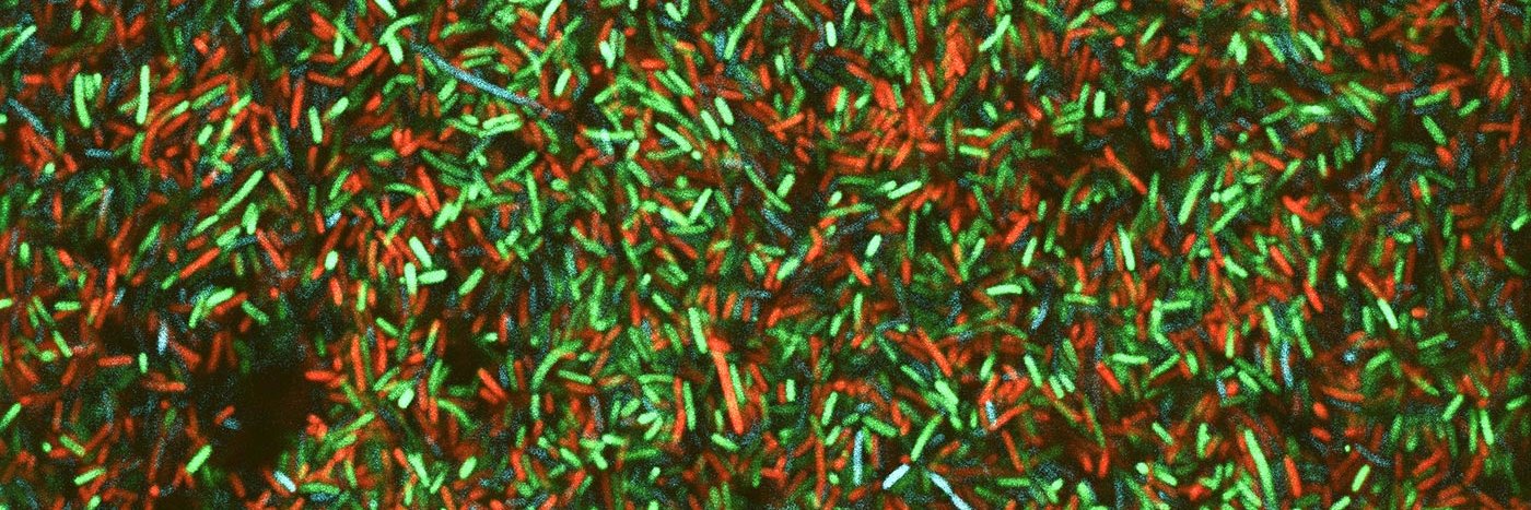 PHRI_Rutgers's profile banner image