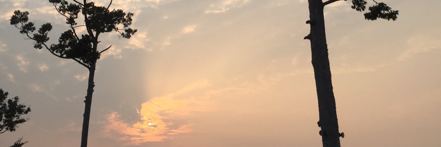 42dayan2morrow's profile banner image