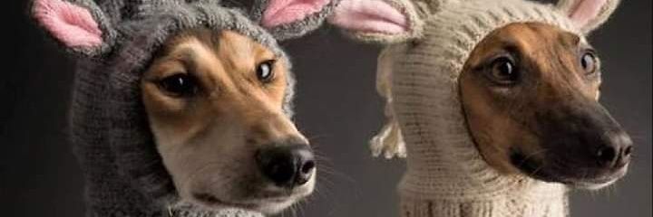 VickyNess3's profile banner image