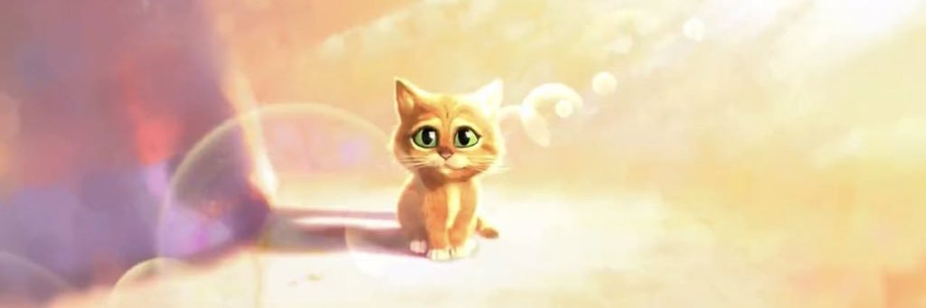 Lauren Scharf banner