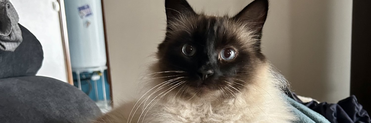mariiiiiiide's profile banner image