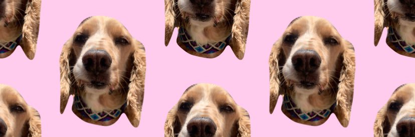 yammyamm's profile banner image