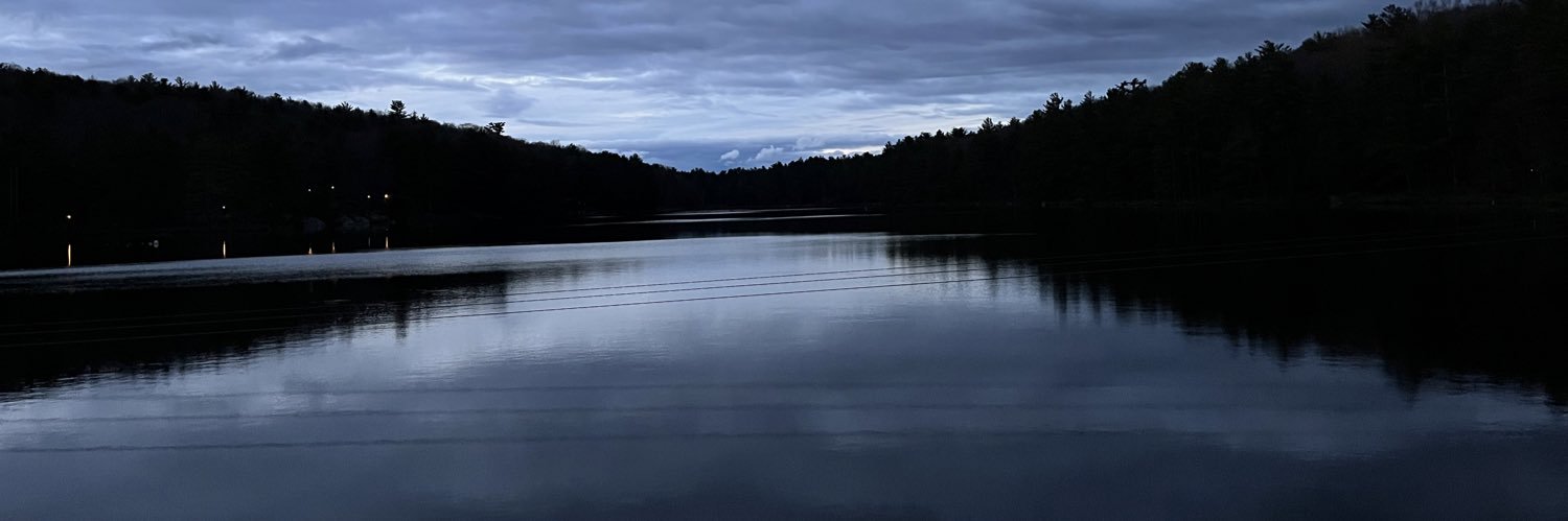 Nelsmoney's profile banner image