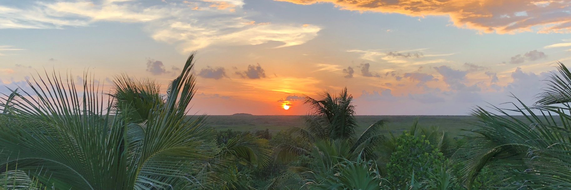 𝙅𝙖𝙧𝙚𝙙 𝘾𝙤𝙝𝙚𝙣 banner
