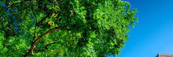 joshkstephen1's profile banner image