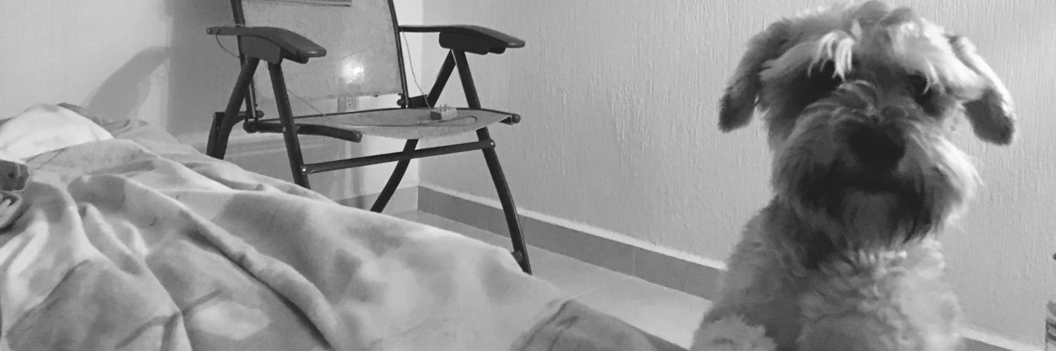 riesgogarza's profile banner image