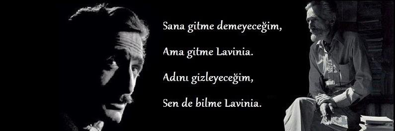 Lavinianiz's profile banner image