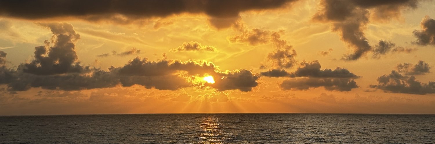 afarirarref's profile banner image