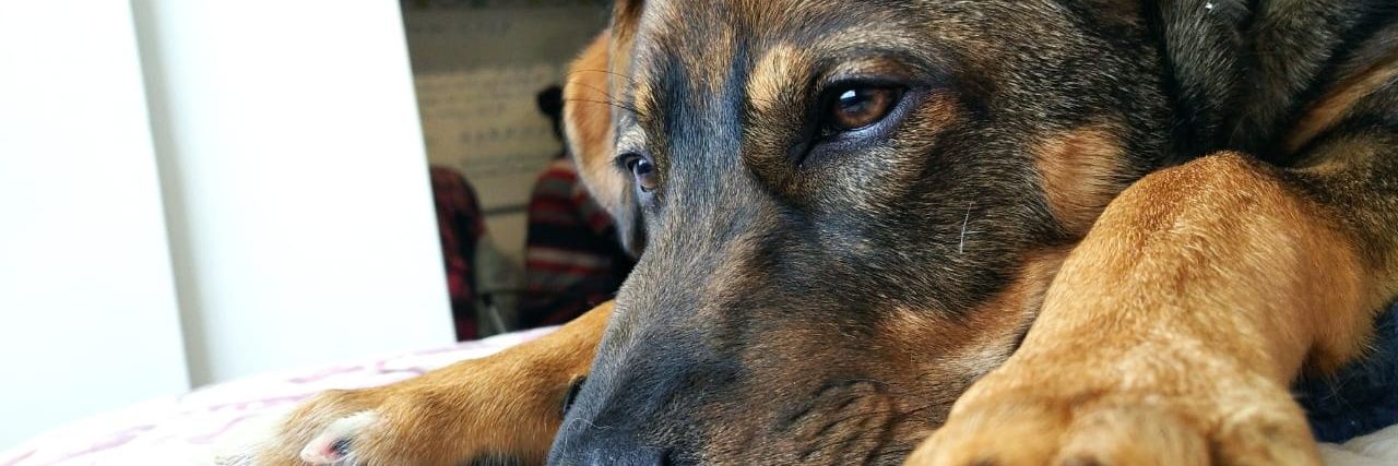 Nemo Nobody ﻥ banner