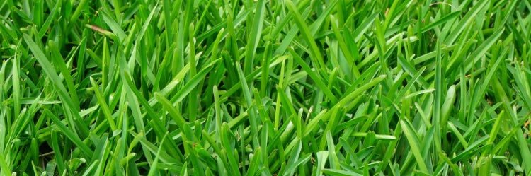 Claudia Spoor banner