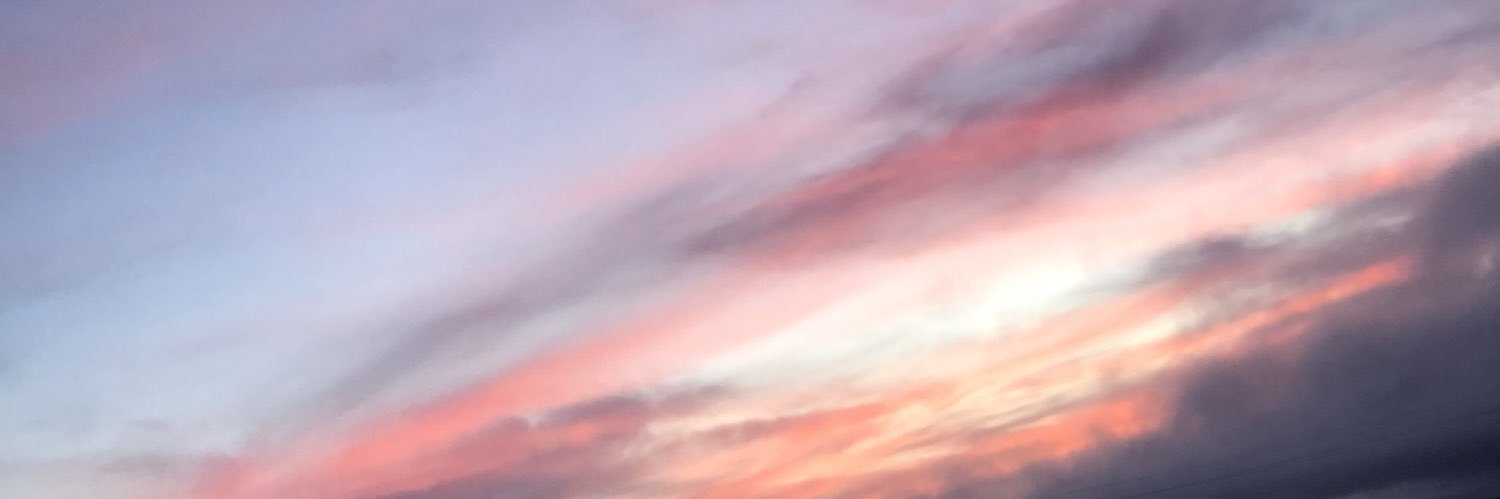 halliewineck's profile banner image
