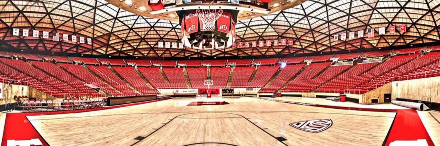 Daneesha Provo👑 banner