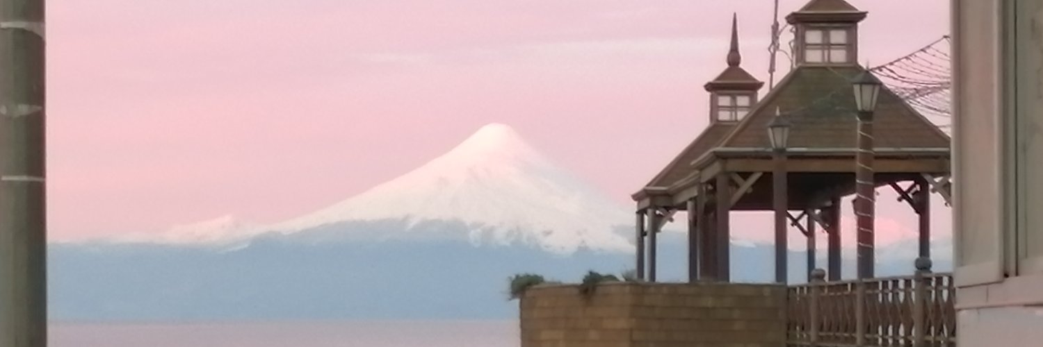 arielmillanmann's profile banner image
