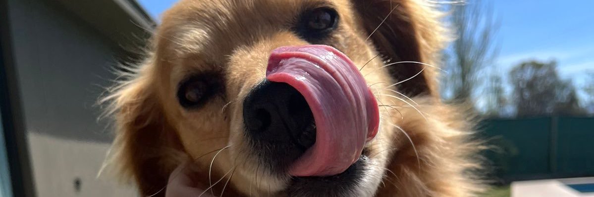 riepnatasha's profile banner image