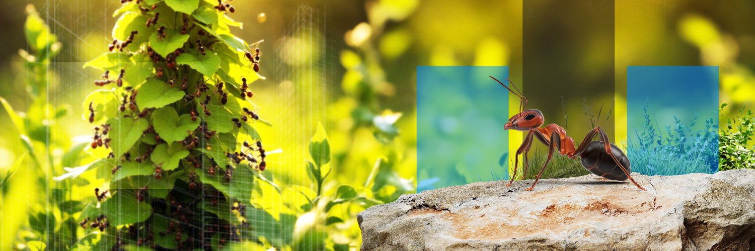 antyapi_'s profile banner image