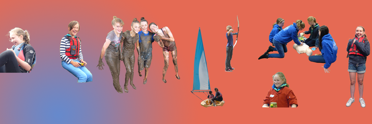 Buckfastleigh Guides banner