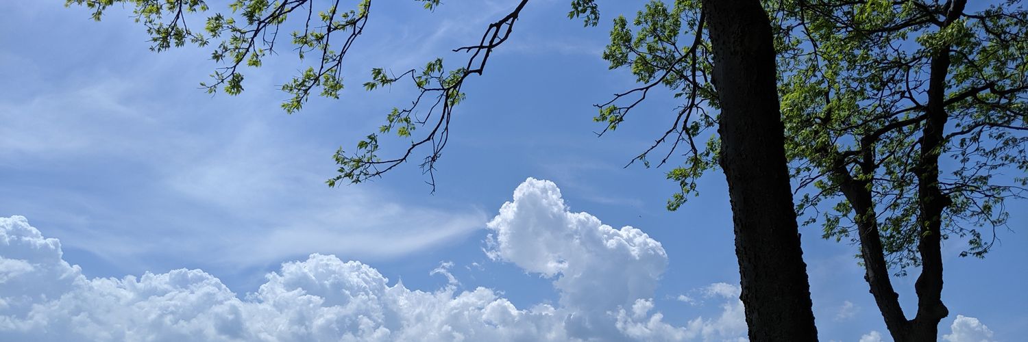 ShowtimeMuller's profile banner image