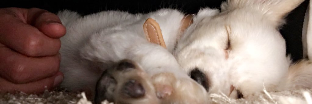 kocakk19's profile banner image
