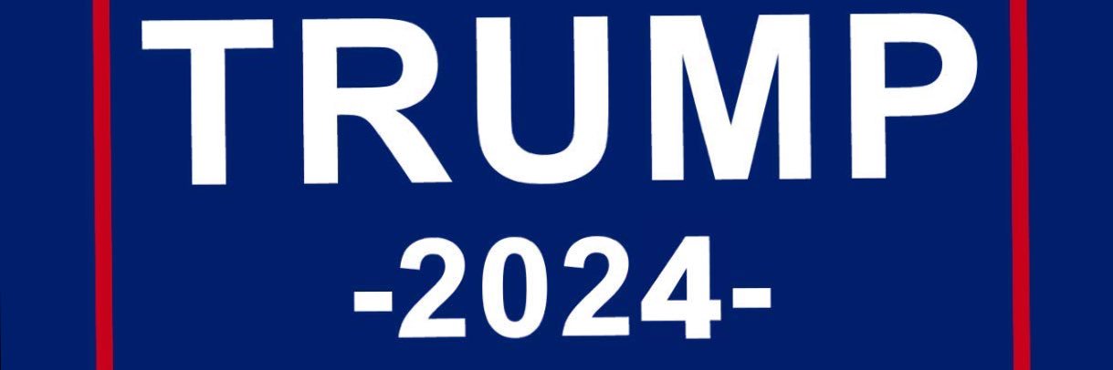 rigelect2020's profile banner image