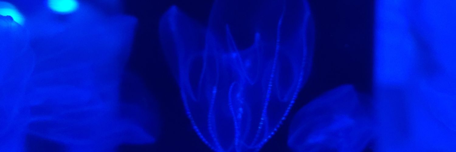 gmttend's profile banner image