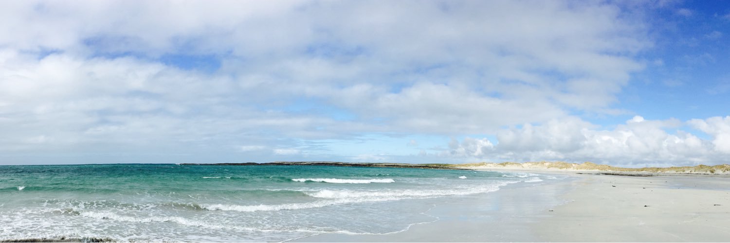Maria Duffy banner