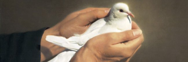 birdiehand2's profile banner image