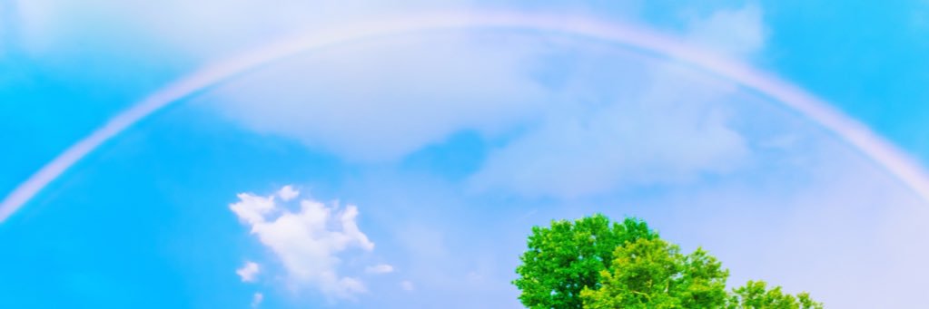 nhlrox48's profile banner image