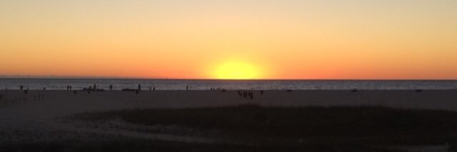 Christine Provino banner