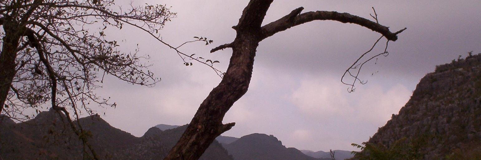 drdaveherndon's profile banner image