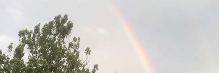 SaraE1995's profile banner image