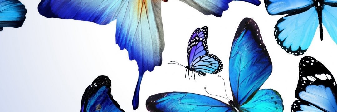 JoonBabyy's profile banner image