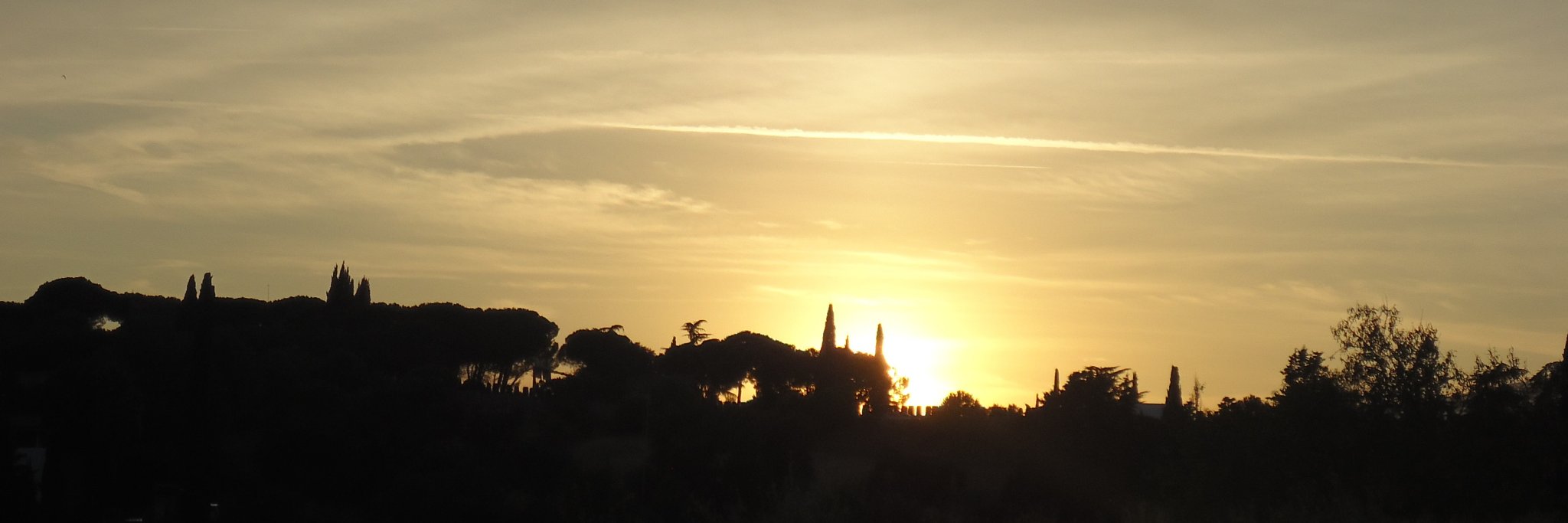 bmelero2002's profile banner image