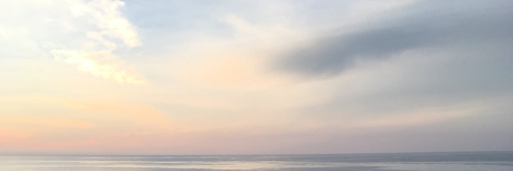 rubysaurus's profile banner image