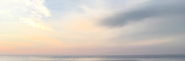 rubysaurus Profile Banner