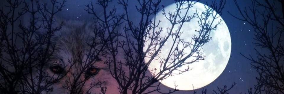 StarBright_39's profile banner image
