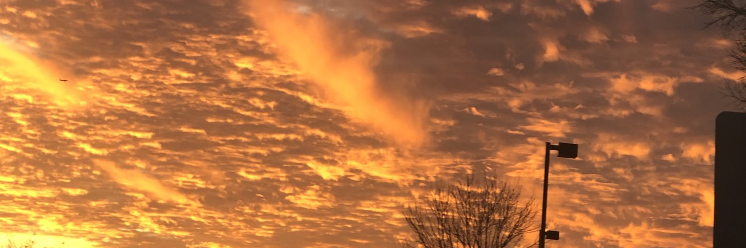DrLCampbell's profile banner image