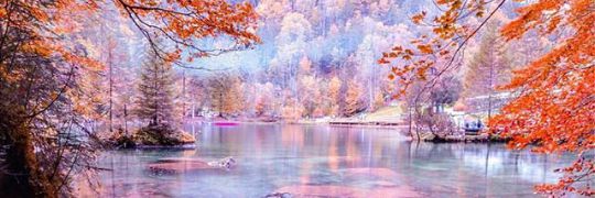 sofiiillllopez's profile banner image