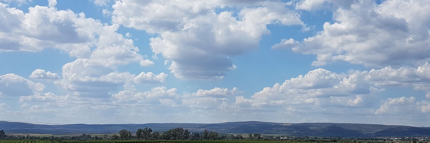 DartaRata's profile banner image