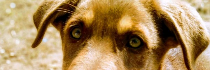 opeque_one's profile banner image