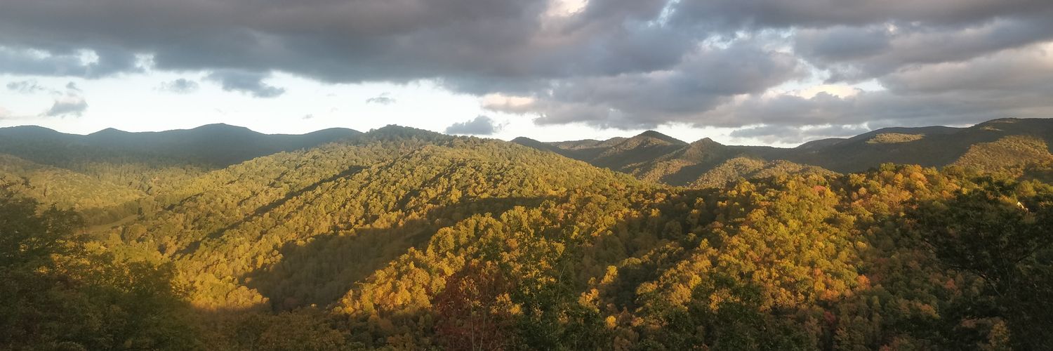 Anthony Walker banner