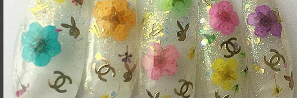 naikicleo's profile banner image