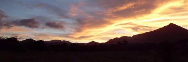 SilviaTarff Profile Banner