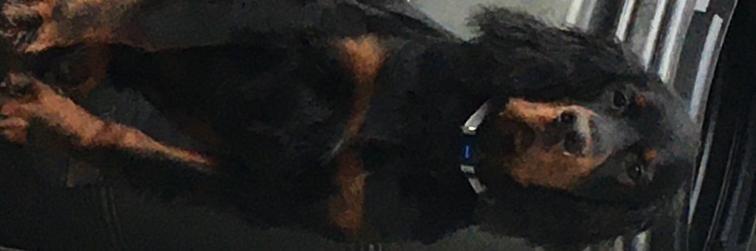 Mark P Wilkinson banner