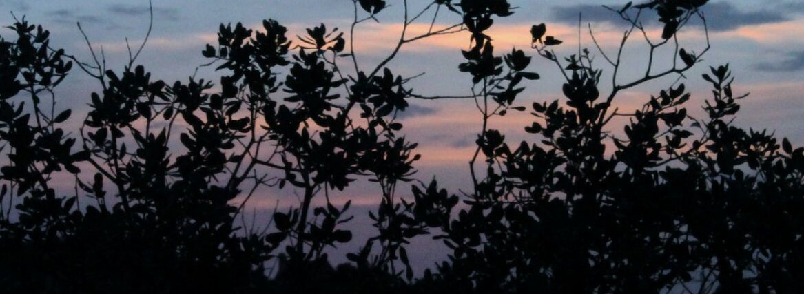 EmaKroh's profile banner image